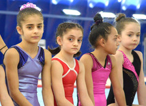 Bakıda qadın idman gimnastikası üzrə akrobatların çoxnövçülükdə çıxışı başlayıb. Azərbaycan, 4 dekabr 2015